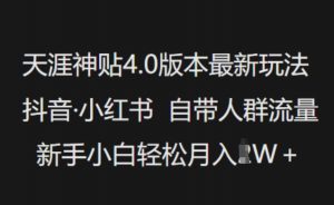 天涯神贴4.0版本最新玩法，抖音·小红书自带人群流量，新手小白轻松月入过W-一起网赚吧