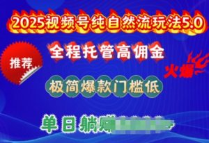 2025视频号纯自然流玩法5.0，全程托管高佣金，极简爆款门槛低，单日收益多张【揭秘】-一起网赚吧