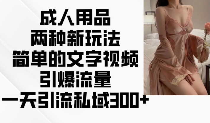 成人用品两种新玩法，简单的文字视频引爆流量，一天引流私域300+-一起网赚吧
