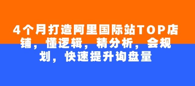 4个月打造阿里国际站TOP店铺，懂逻辑，精分析，会规划，快速提升询盘量-一起网赚吧