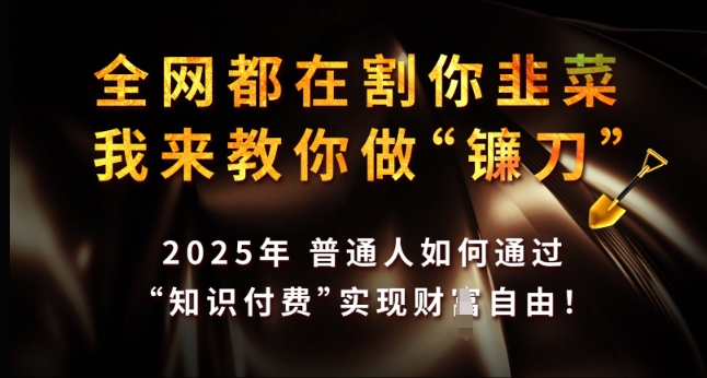 全网都在割你韭菜，我来教你做镰刀，2025年普通人如何通过 知识付费 实现财F自由【揭秘】-一起网赚吧