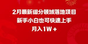 2月最新细分领域落地项目，新手小白也可快速上手，月入1W-一起网赚吧