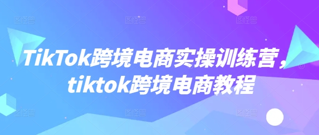 TikTok跨境电商实操训练营，tiktok跨境电商教程-一起网赚吧