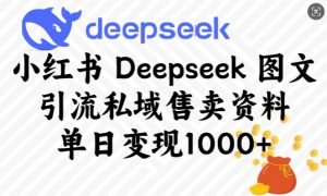 小红书Deepseek图文引流私域售卖资料，单日变现多张-一起网赚吧