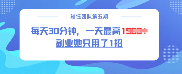 副业她只用了1招，每天30分钟，无脑二创，一天最高1.5k-一起网赚吧