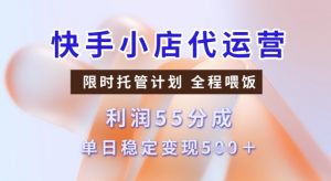 快手小店代运营3.0，模式新升级，收益55分，稳定单日5张【揭秘】-一起网赚吧