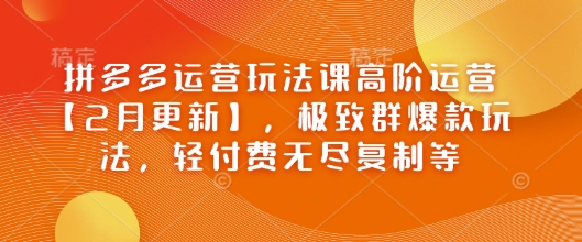 拼多多运营玩法课高阶运营【2月更新】，极致群爆款玩法，轻付费无尽复制等-一起网赚吧