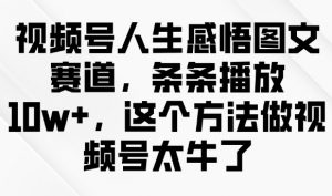 视频号人生感悟图文赛道，条条播放10w+，这个方法做视频号太牛了-一起网赚吧