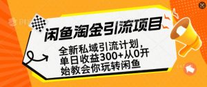 闲鱼淘金私域引流计划，从0开始玩转闲鱼，副业也可以挣到全职的工资-一起网赚吧