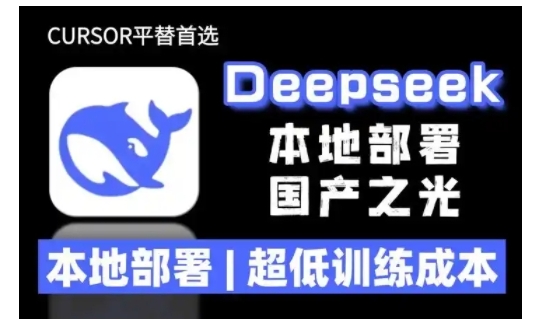 2025年deepseek R1 大型模型本地安装部署(文件+教程)本地部署，超低训练成本-一起网赚吧