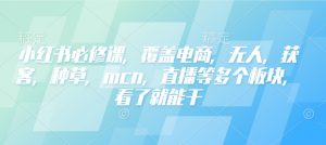 小红书必修课,覆盖电商,无人,获客,种草,mcn,直播等多个板块,看了就能干-一起网赚吧