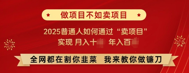 必看，做项目不如卖项目，2025普通人如何通过“卖项目”实现月入十个，年入百个-一起网赚吧