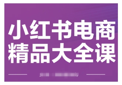 小红书电商精品大全课，快速掌握小红书运营技巧，实现精准引流与爆单目标，轻松玩转小红书电商-一起网赚吧