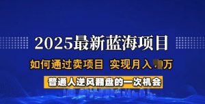 2025蓝海项目，普通人如何通过卖项目，实现月入过W，全过程【揭秘】-一起网赚吧