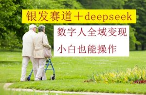 银发赛道+deepseek数字人全域变现，小白也能操作-一起网赚吧