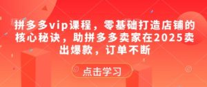 拼多多vip课程,零基础打造店铺的核心秘诀,助拼多多卖家在2025卖出爆款,订单不断-一起网赚吧