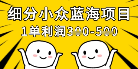 细分小众蓝海项目，一单利润3张，每月收入稳定过1w+-一起网赚吧