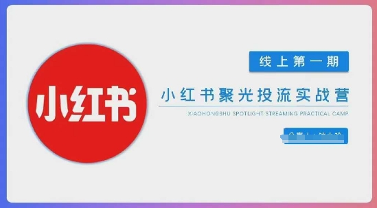 小红书聚光陪跑第一期，教你从0到1玩转小红书聚光投流，搭建小红书付费投流团队，更快的见到效果-一起网赚吧