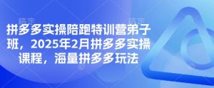 拼多多实操陪跑特训营弟子班,2025年2月拼多多实操课程,海量拼多多玩法-一起网赚吧