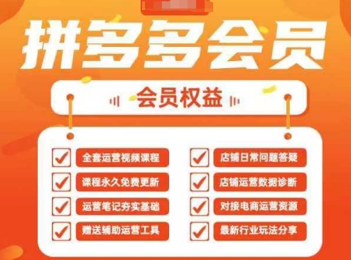 2025拼多多运营实战课，40节全流程教学，覆盖拼多多运营全链路-一起网赚吧