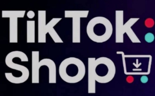 TikTokShop跨境电商0-1实战，手把手教你低成本启动海外市场-一起网赚吧