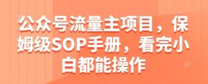 公众号流量主项目，保姆级SOP手册，看完小白都能操作-一起网赚吧