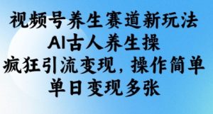 视频号养生赛道新玩法，AI古人养生操，疯狂引流变现，操作简单，单日变现多张-一起网赚吧