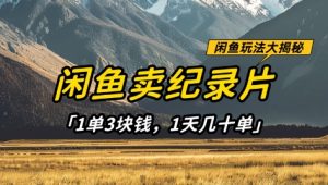 闲鱼卖纪录片1单3块钱，1天几十单，项目稳定有潜力-一起网赚吧
