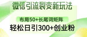微信引流裂变新玩法：布局50+长尾词矩阵，轻松日引300+创业粉-一起网赚吧