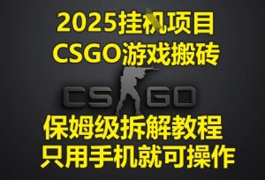 2025挂G项目，CSGO游戏搬砖，保姆级拆解教程，只用手机就可操作【揭秘】-一起网赚吧