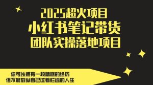 2025超火项目,副业最佳选择,小红书笔记带货团队实操落地项目,,轻松日入5张-一起网赚吧