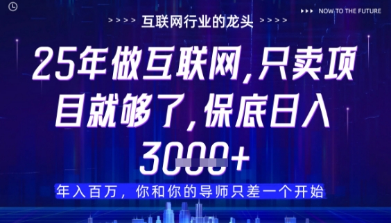 什么！25年你还在找项目做？风口早就变了，卖项目才是稳挣不赔【揭秘】-一起网赚吧