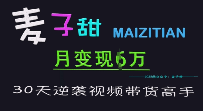 麦子甜30天逆袭视频带货高手，单月变现6W加特训营-一起网赚吧