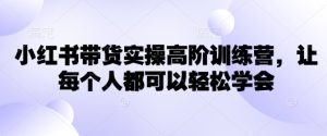 小红书带货实操高阶训练营,让每个人都可以轻松学会-一起网赚吧