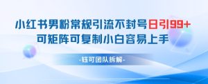 小红书男粉常规引流不封号日引99+变现简单 可矩阵可复制小白容易上手-一起网赚吧