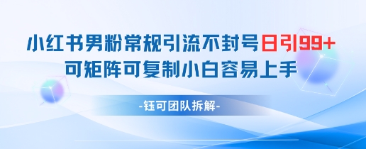 小红书男粉常规引流不封号日引99+变现简单 可矩阵可复制小白容易上手-一起网赚吧