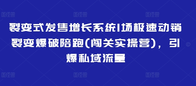 裂变式发售增长系统1场极速动销裂变爆破陪跑(闯关实操营)，引爆私域流量-一起网赚吧