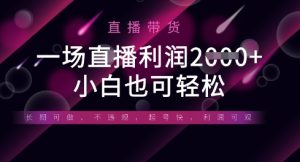 半无人直播带货，一场利润数张，适合所有平台玩法，小白也可轻松-一起网赚吧