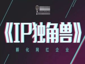 IP独角兽，孵化网红企业，ip教程-一起网赚吧
