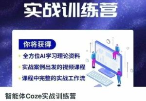 智能体Coze实战训练营,掌握新时代效率工具,让你人生即刻开挂-一起网赚吧