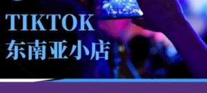 Tiktok东南亚跨境小店运营班，一门专业的TK小店运营培训课-一起网赚吧
