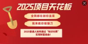 2025项目天花板普通人如何通过知识付费，实现财F自由【揭秘】-一起网赚吧