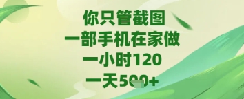 你只管截图，一部手机在家做，苹果安卓都可以，一天5张+【揭秘】-一起网赚吧