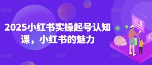 2025小红书实操起号认知课,小红书的魅力-一起网赚吧