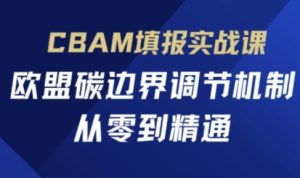 CBAM填报实战课，欧盟碳边界调节机制，从零到精通-一起网赚吧