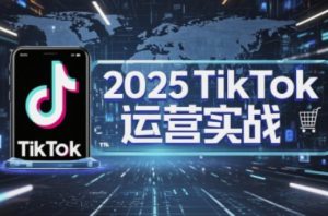 2025TikTok电商运营，掌握TikTok店铺运营核心技巧，实现低成本高转化-一起网赚吧