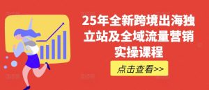 25年全新跨境出海独立站及全域流量营销实操课程，跨境电商独立站TIKTOK全域营销普货特货玩法大全-一起网赚吧