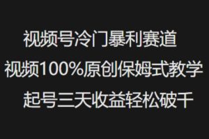 视频号冷门暴利赛道视频100%原创保姆式教学起号三天收益轻松破千-一起网赚吧
