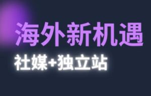 2025出海新机遇(社媒+独立站),海外新机遇,实现独立站的高效运营与出海-一起网赚吧