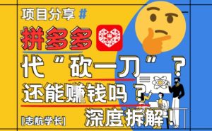 【2025最新】拼多多代坎助力项目深度拆解:还能挣钱吗?全流程玩法-一起网赚吧
